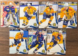 Sportzoo 25/26 - HC Davos