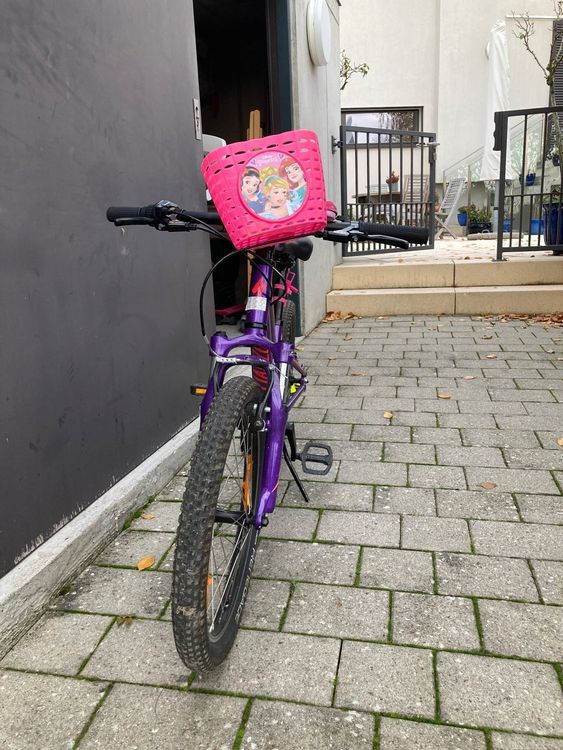 Vélo Fille Flower Bike 20 Pouces - 6 Vitesses Shimano - Pour 6-10 Ans - Cadre Acier - Sécurité Freins V