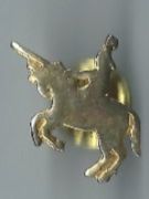 Einhorn Reiter, Pin