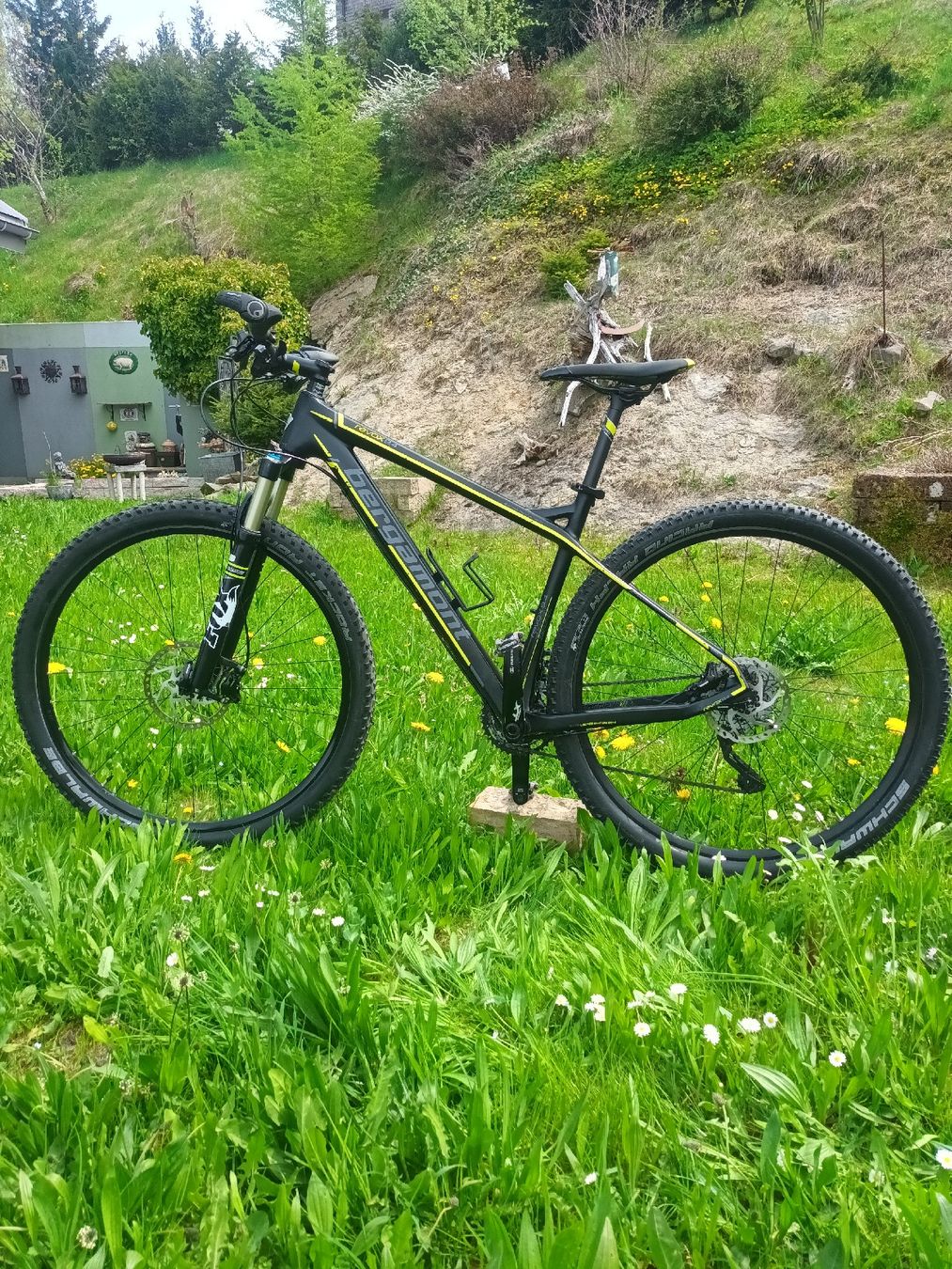 Bergamont Vélos: BERGAMONT Revox 9.4 Carbon – D'occasion à Wald AR par Elan16 1