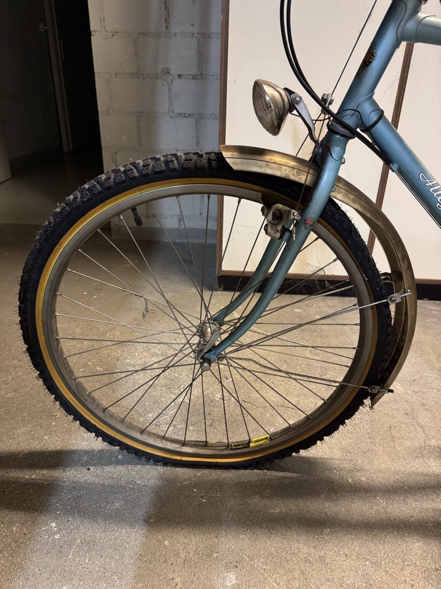 Velos: Allegro Bike – Gebraucht aus Meisterschwanden von Scania78 4