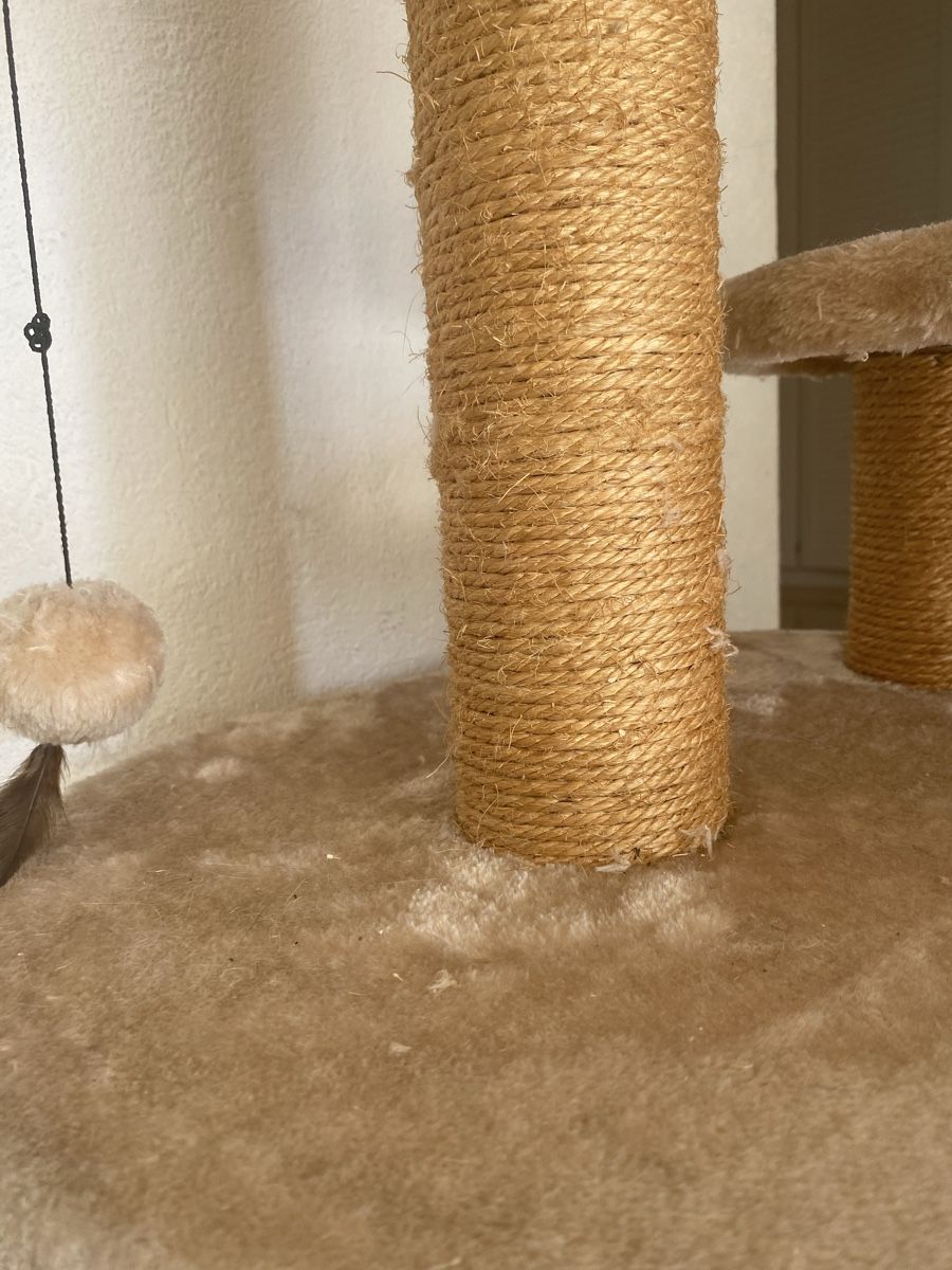 Tiragraffi: Katzenbaum – Usato da Brunnen venduto da NNinnello 6
