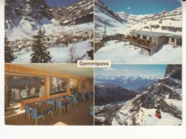 Gemmipass 1967