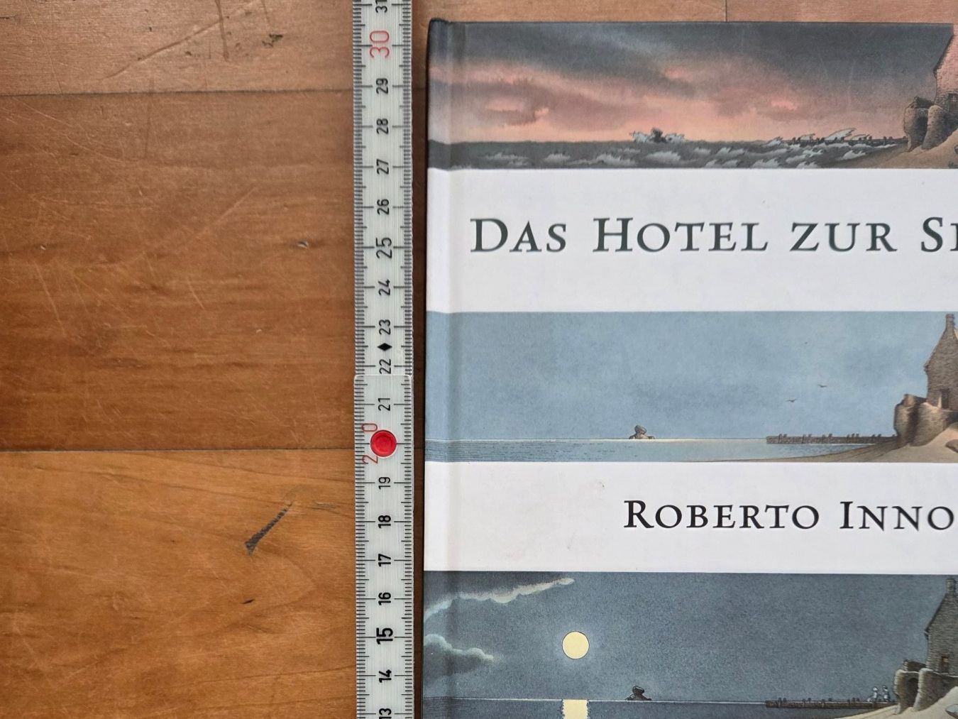 Libri: Bilderbuch: Das Hotel der Sehnsucht – Usato da St. Gallen venduto da Razoon77 6