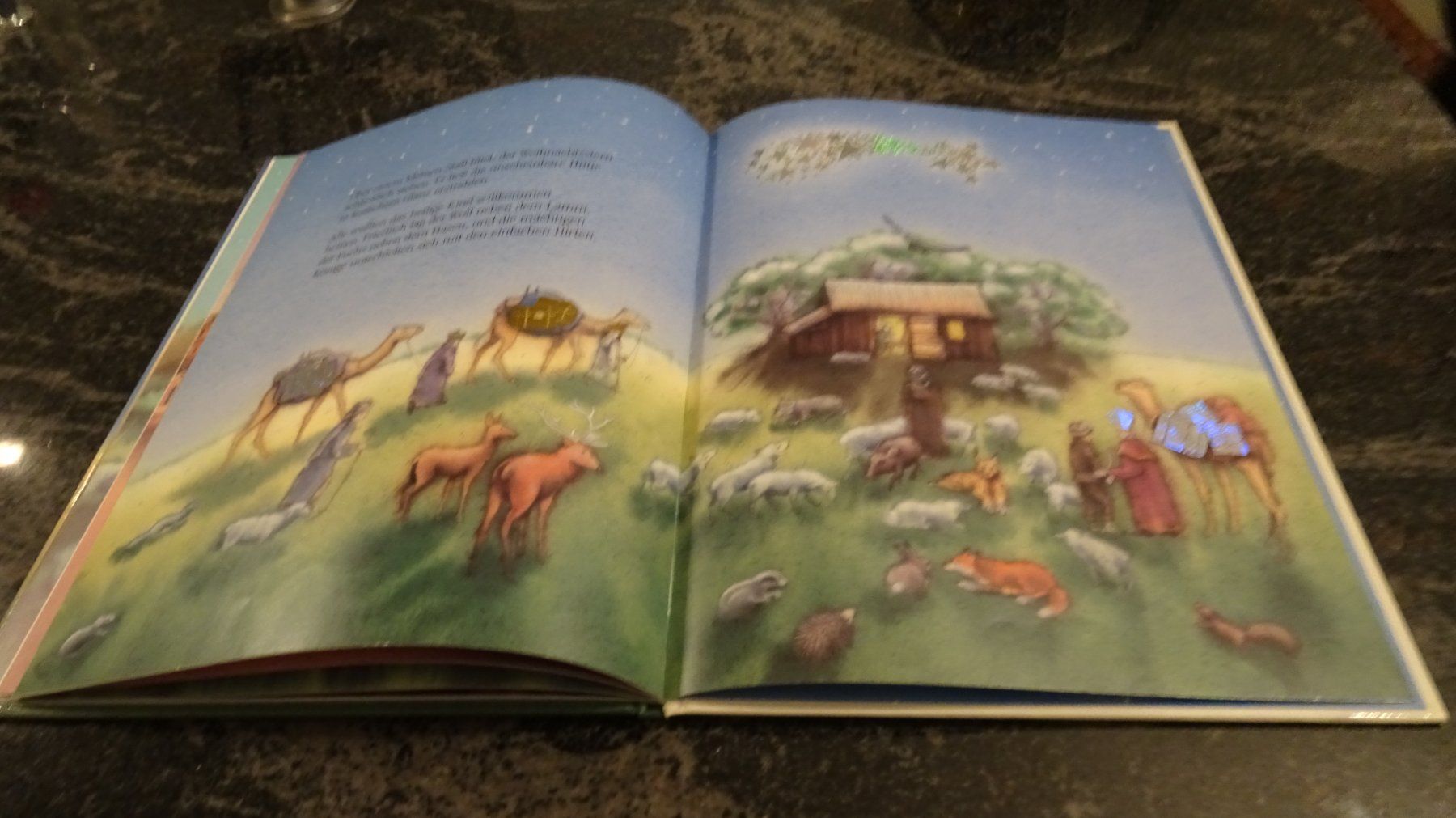 Libri: Der Weihnachtsstern mit Glitzereffekt  Marcus Pfister – Usato da Zürich venduto da Roulet 7