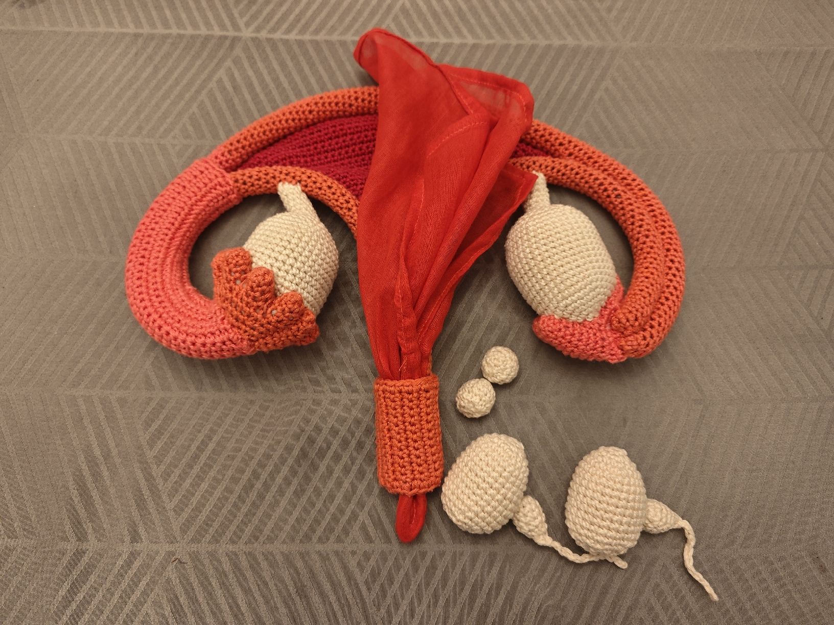 Kit di modellismo & Modellini statici: Gebärmutter Sexualpädagogisches Material – Nuovo e nell'imballaggio originale da Romanshorn venduto da topolino91 2