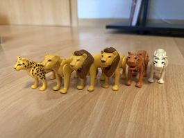 Fauves Playmobil