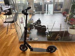 Micro Roller – Federung, guter Zustand, wenig genutzt