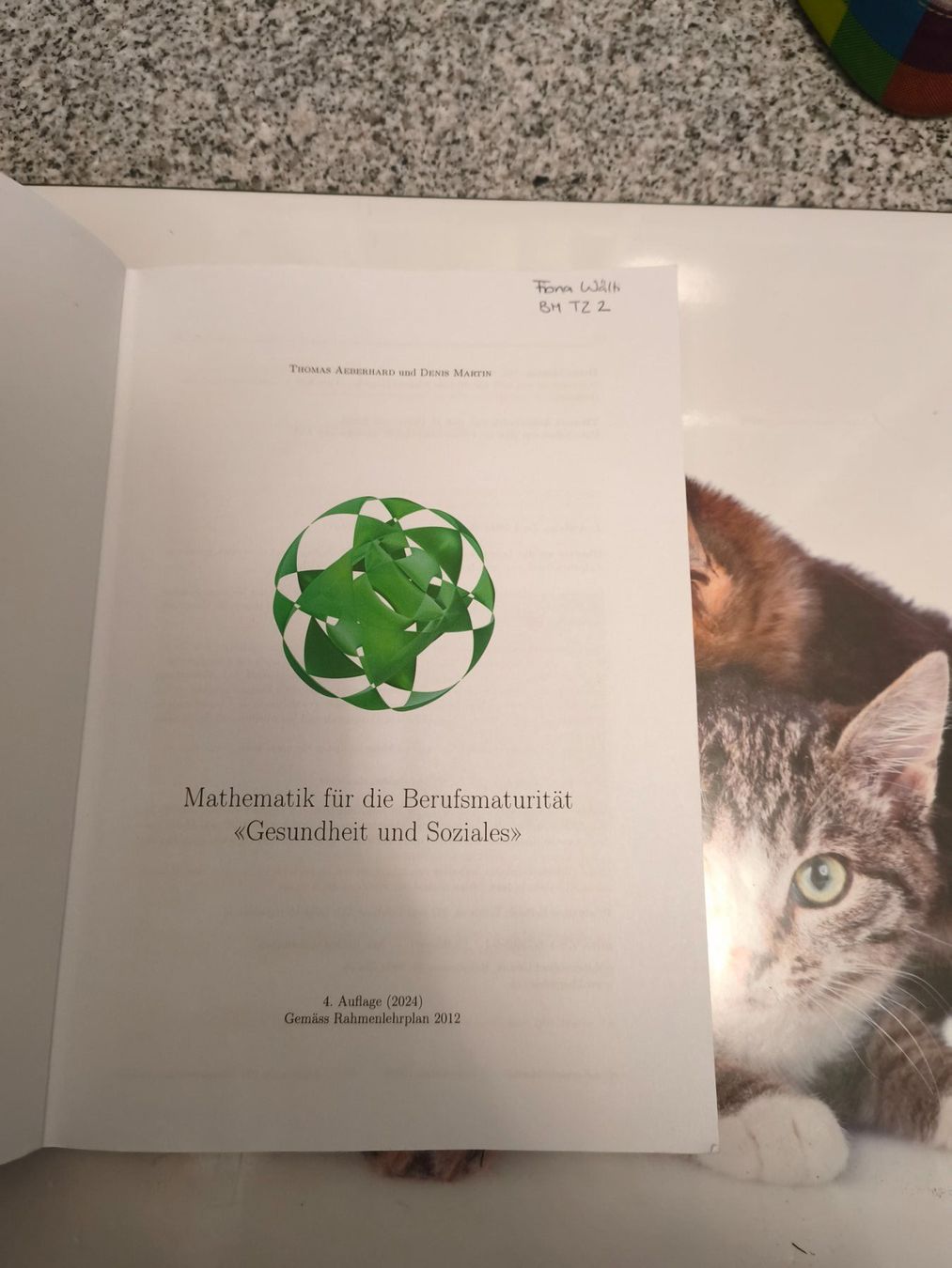 Libri: Mathematik Buch – Nuovo (secondo la descrizione) da Starrkirch-Wil venduto da wae_xd2j 1