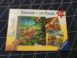 Ravensburger Puzzle 3x49 Tiere im Wald ab 5 Jahren