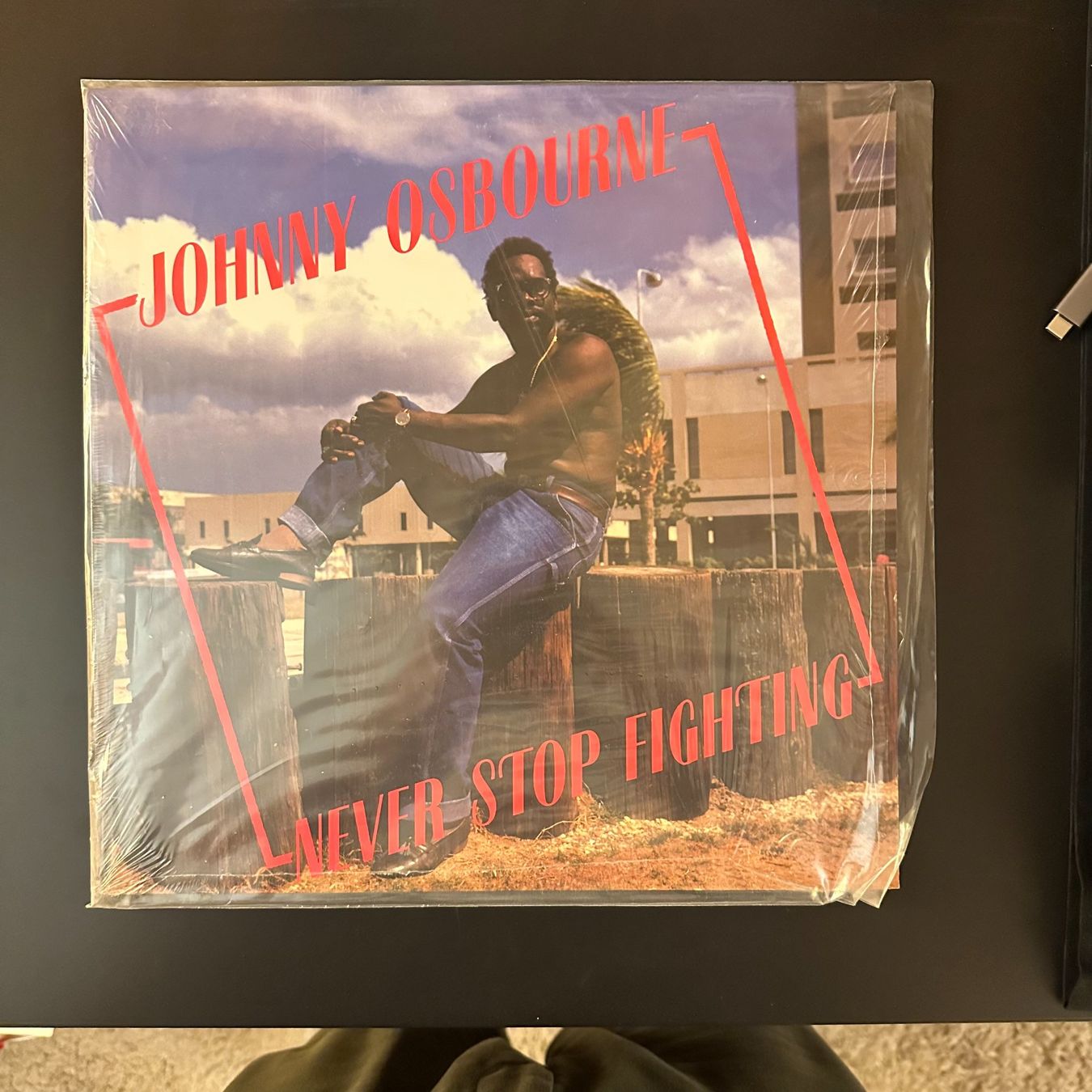 Dischi in vinile: Johnny Osbourne – Never Stop Fighting LP – Usato da Viganello venduto da md__2rd2
