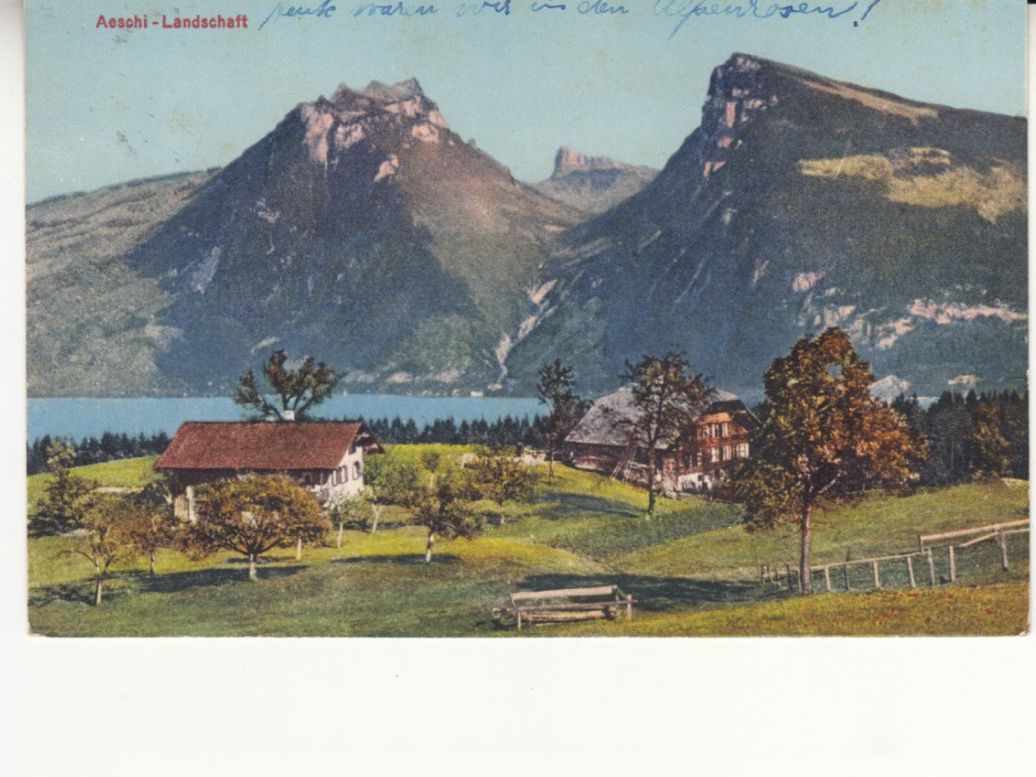 Cartoline postali: Aeschi-Landschaft 1924 – Usato da Bürglen TG venduto da StampGraf