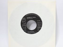 Vinyl Single Rick Springfield Celebrate Youth für Jukebox