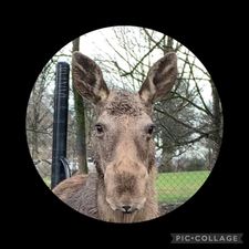 Profile image of spacelord01