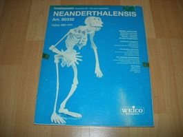 Holzbausatz Neandertalensis Art. 80332