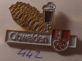 1 Brot Pin Obwalden (442)