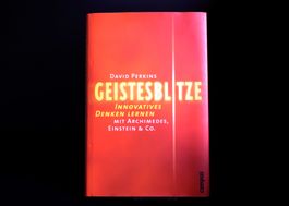 Geistesblitze - David Perkins - guter Zustand / neuwertig