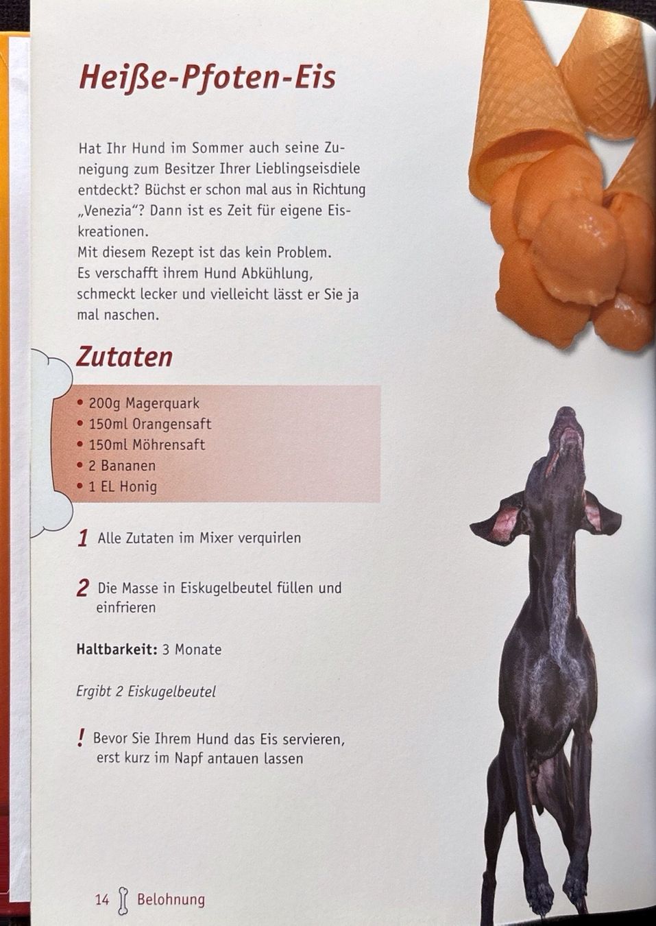 Bücher: Schnappies - Hundecookies selbstgemacht – Neu (gemäss Beschreibung) aus Sarnen von Livres 5
