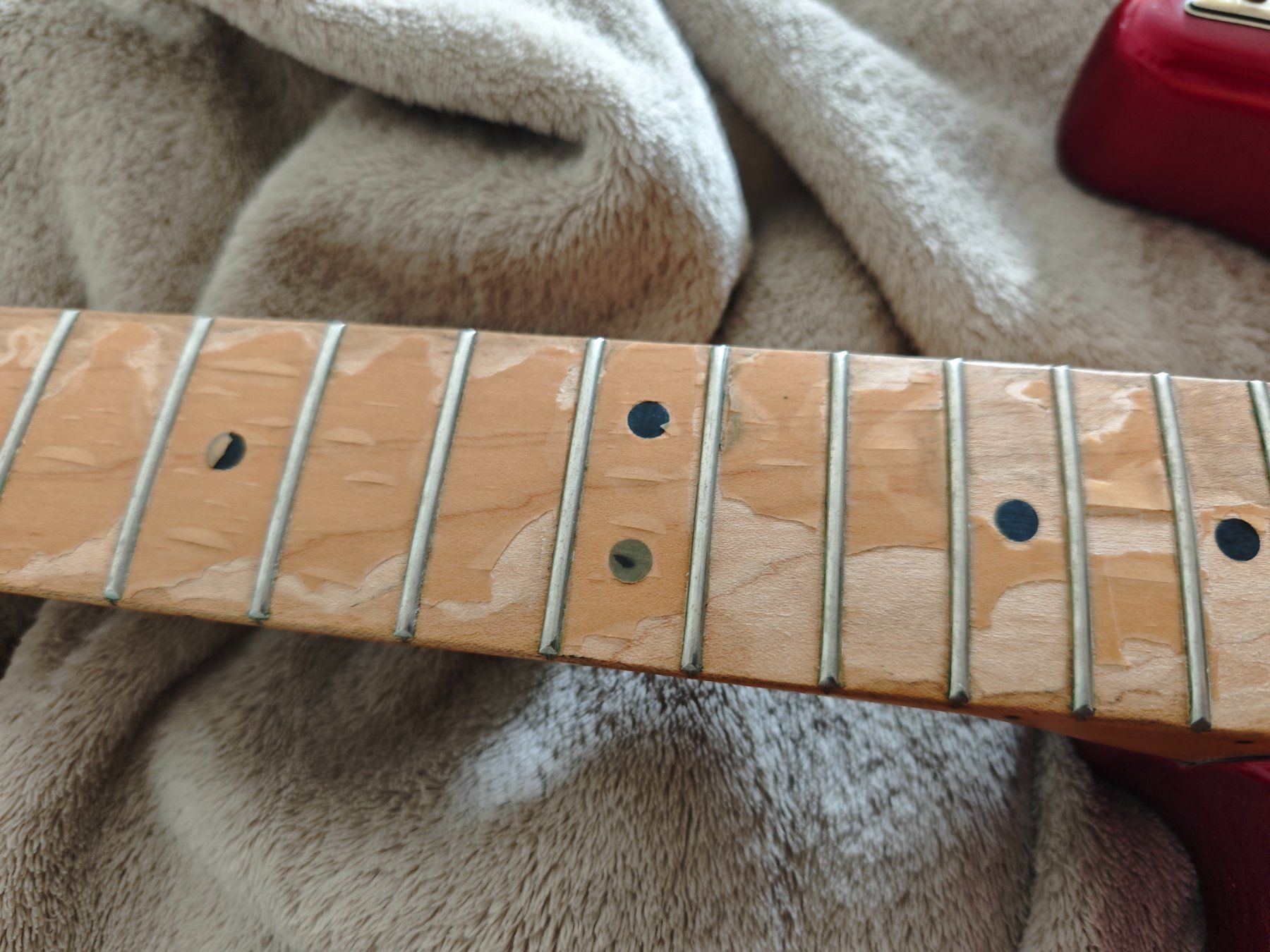 Fender Strumenti musicali: Fender Stratocaster Plus 50th 1996 – Usato da Reinach BL venduto da Aron100 5