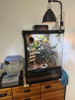 Terrarium eingerichtet mit Zubehör