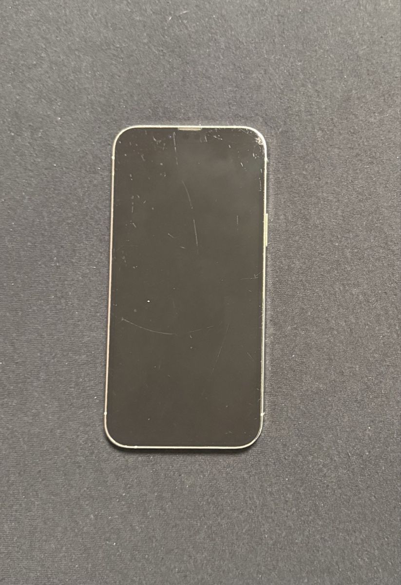 Apple Telefoni cellulari / Smartphones: Iphone 13 Pro Max 256 GB – Usato da Echandens venduto da Milos.24 1