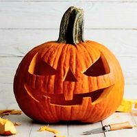 Ab 5.- fr 5 Samen Halloween Kürbis Citrouille Zucca Pumpkin