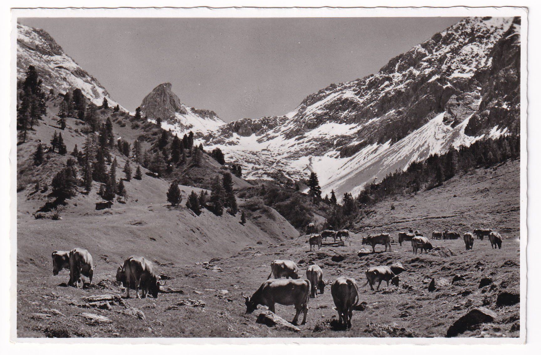 Cartoline postali: Inneralp bei Davos - Monstein mit Krummhörnli  1958 – Usato da Cormoret venduto da Pascalll2001