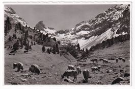 Inneralp bei Davos - Monstein mit Krummhörnli  1958