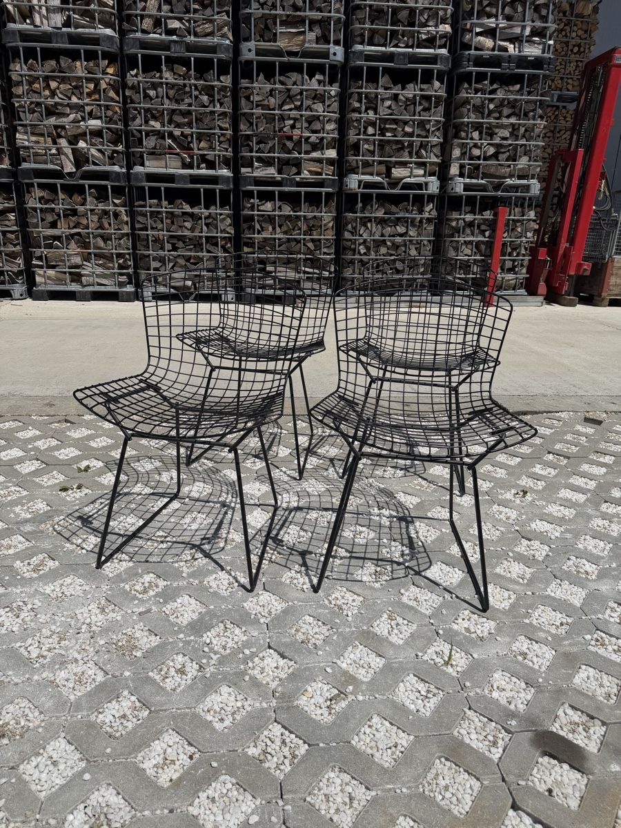 Knoll Sedie: Série de 4 chaises Harry Bertoia – Usato da Arnex-sur-Orbe venduto da Tutu1037 4