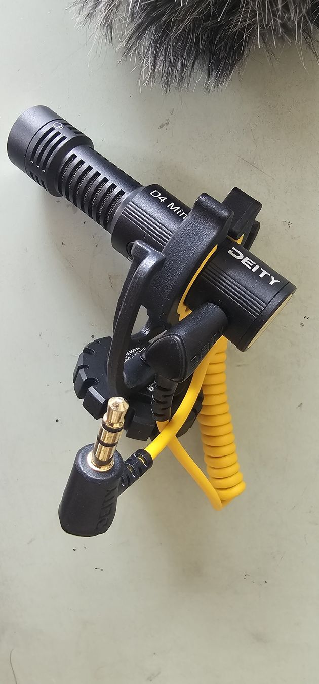 Mikrofone: Microphone Deity V-Mic D4 Mini, black, good condition – Gebraucht aus Geneve von T36 1