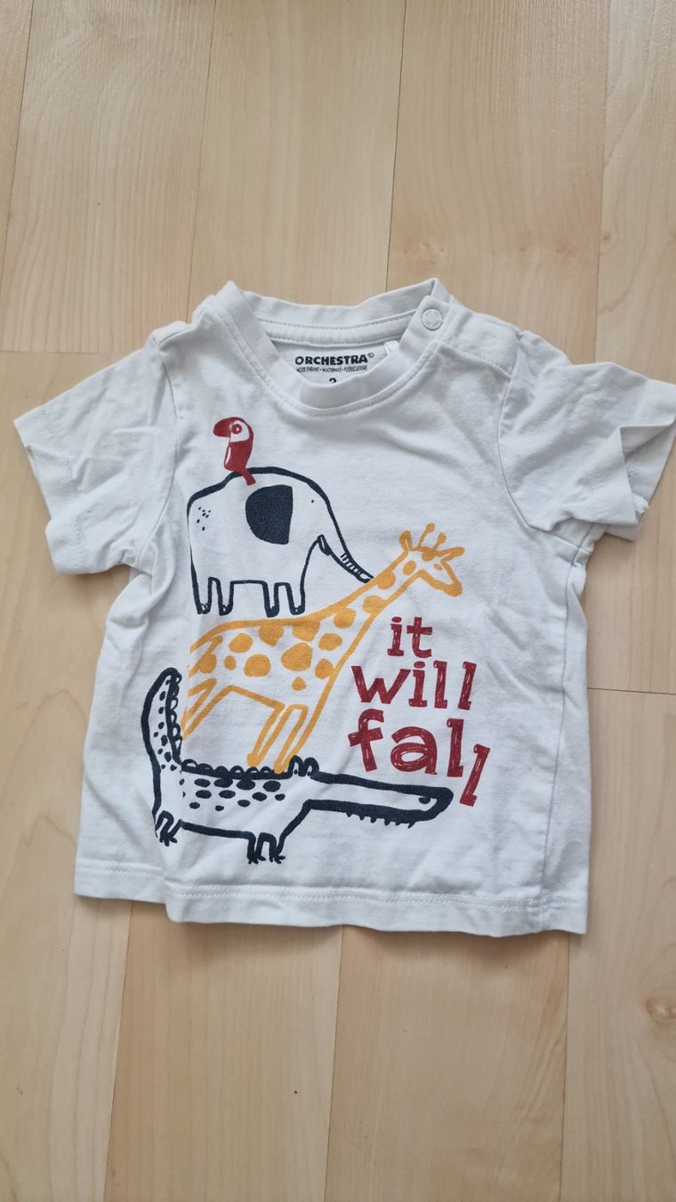 Camicie, Top & T-shirt: T Shirt gr60 Orchestra – Usato da Winterthur venduto da Mmondeo