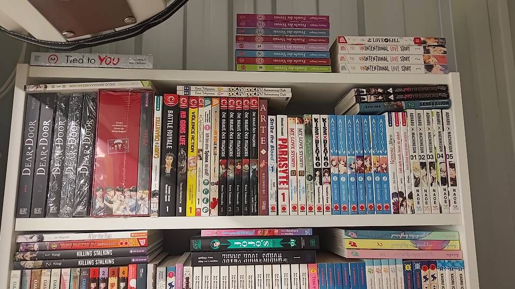 Comics: Diverse Mangas – Gebraucht aus Dietikon von Alex4869 4