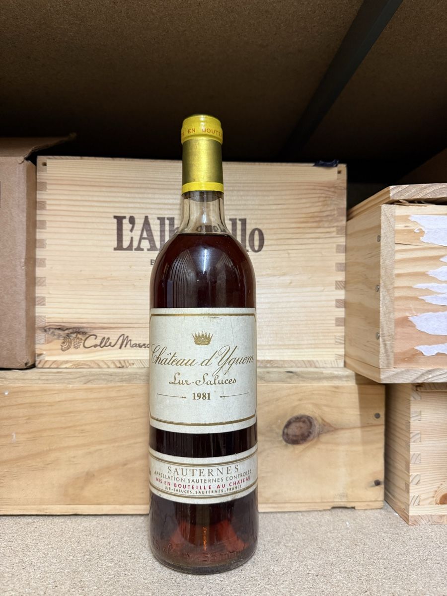 Yquem Vino: Château d’Yquem 1981 – Nuovo e nell'imballaggio originale da Troinex venduto da Airain