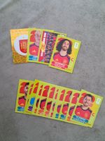 17 x Paninisticker 2026 / Spanien