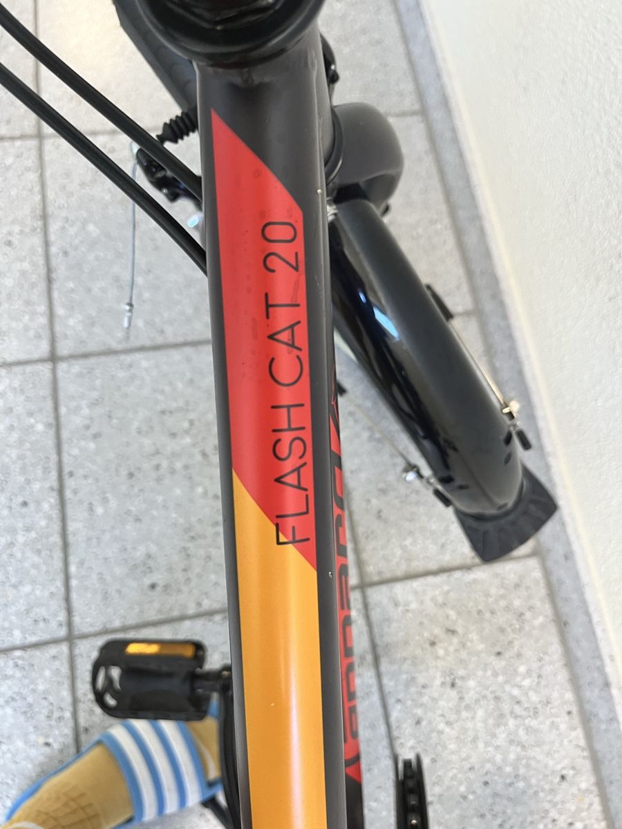 Leopard Biciclette: Velo 20 Zoll Leopard Flash cat 20 – Usato da Zürich venduto da Chloemanza 4