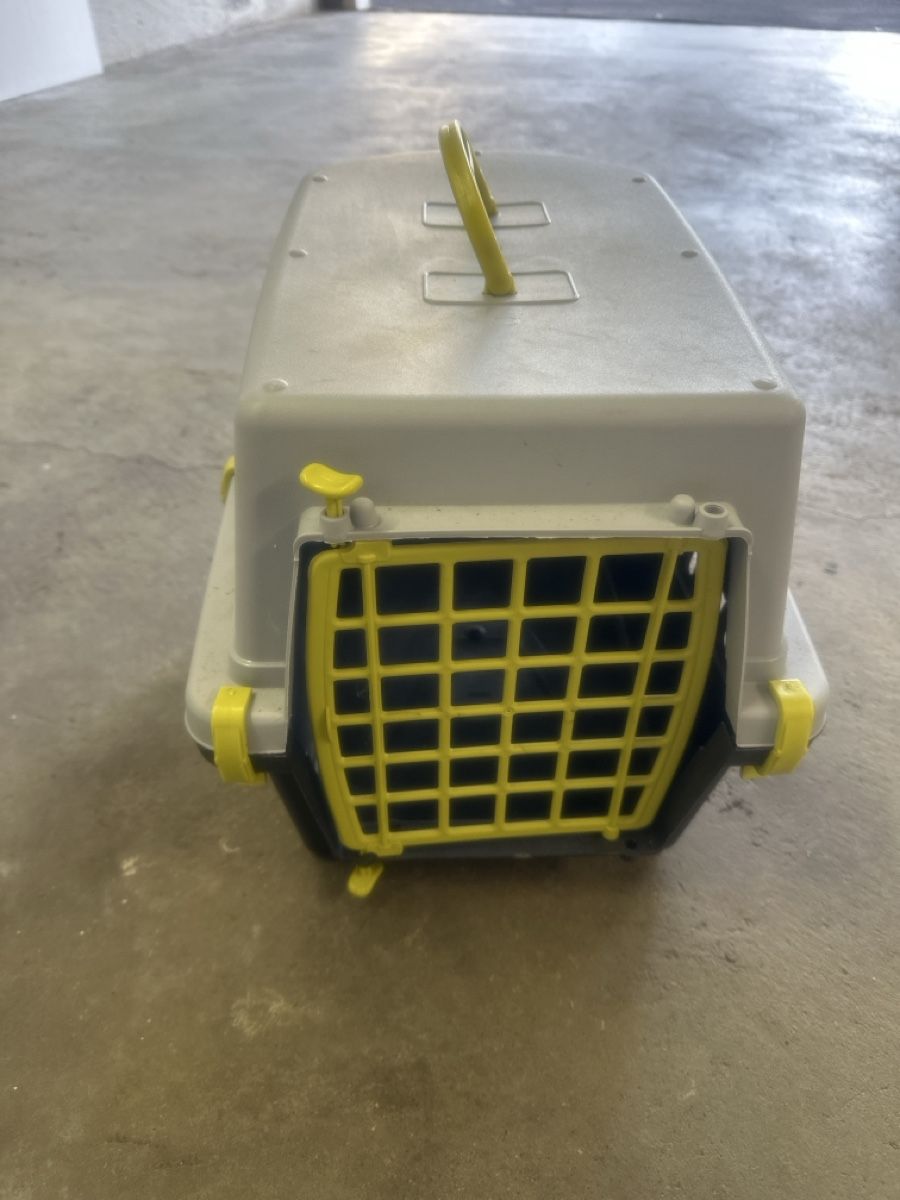 Gabbie, trasporto & Sicurezza: Tiertransportbox aus Kunststoff – Usato da Dielsdorf venduto da Luigi1989