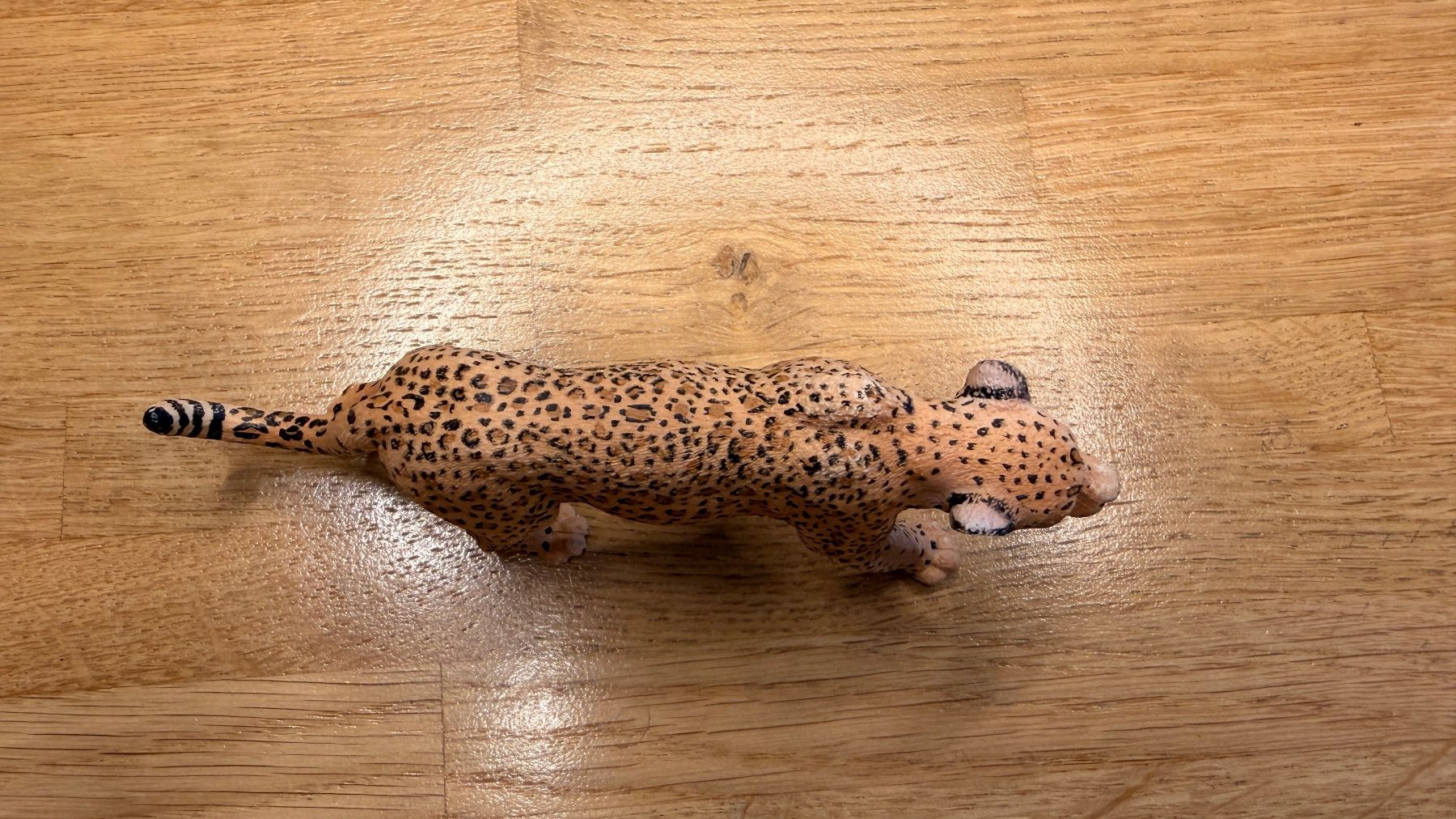 Schleich Jouets: SCHLEICH - Leopard 14360 – D'occasion à Winterthur par Secondhand-Family 5