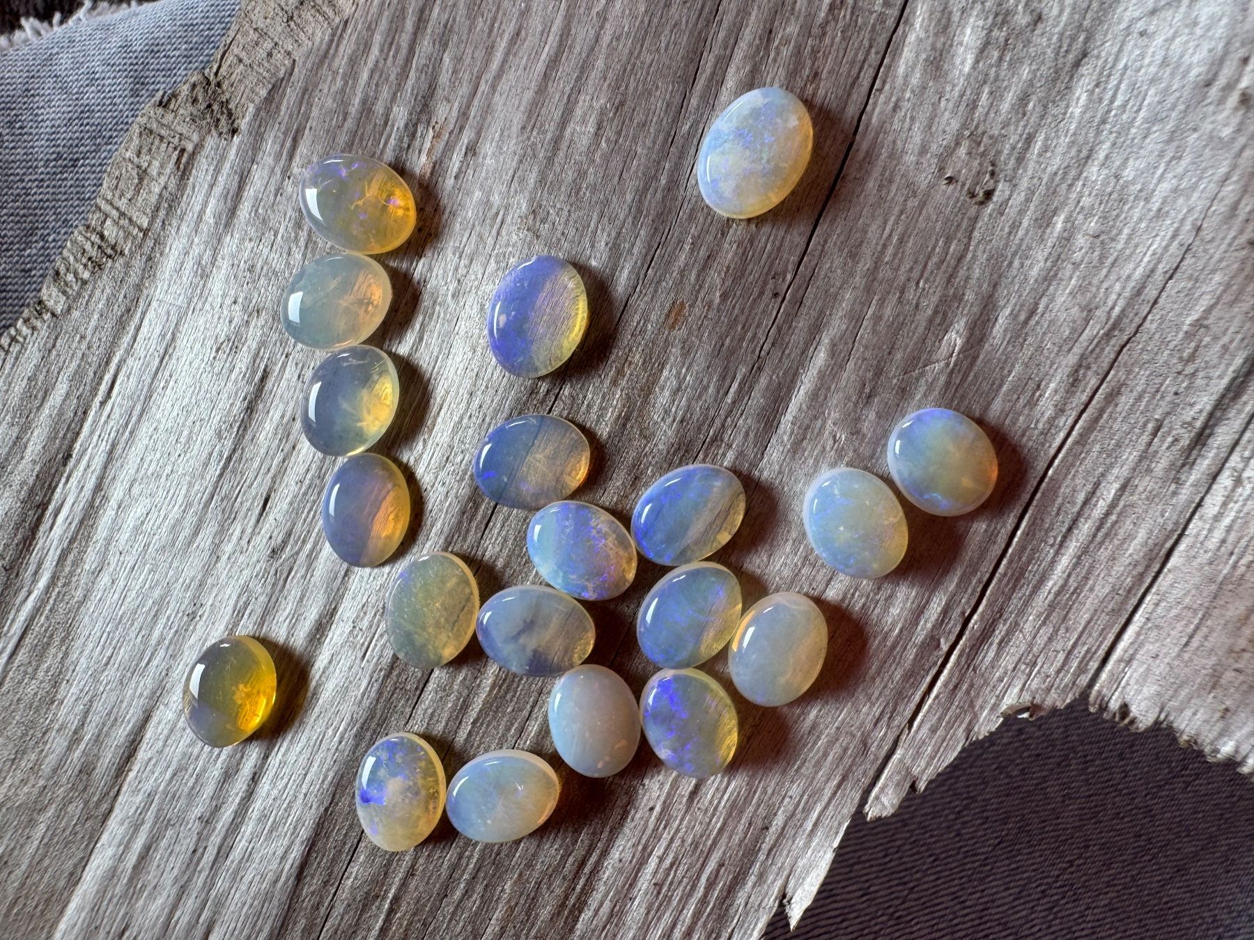 Fossili: 20 Stk  Cabochons Opal echt winzig neu   oval 7x9mm  solid – Nuovo e nell'imballaggio originale da Leuggern venduto da gemshow 7