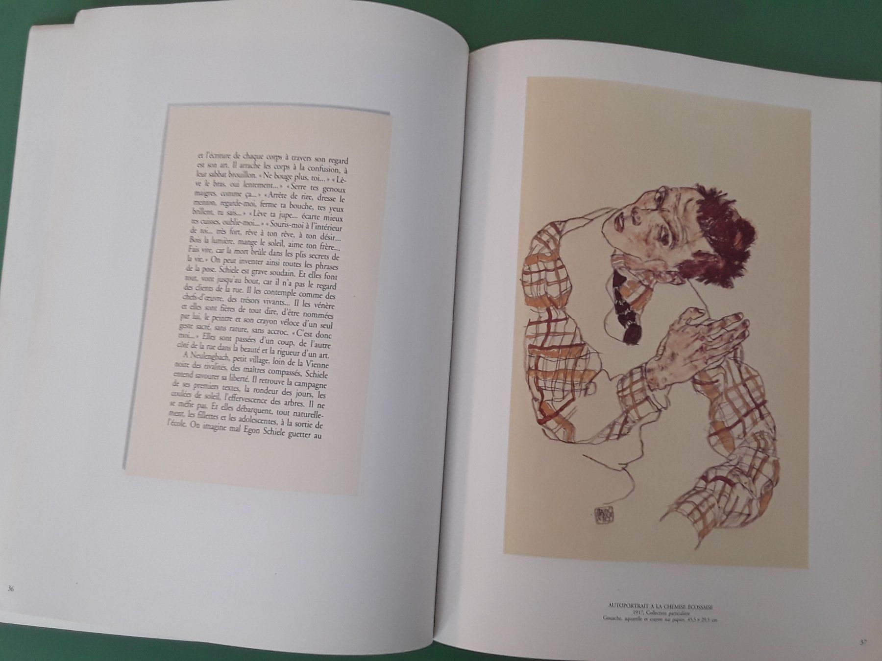 Libri: Livre Egon Schiele – Usato da Fribourg venduto da mar_z757 1