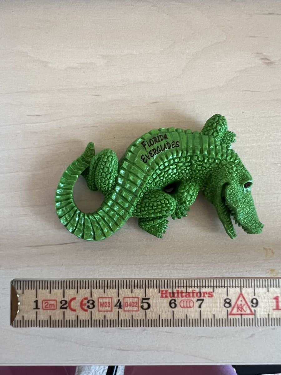 Calamite: Florida Alligator Deko Magnet Souvenir – Usato da Ennetbürgen venduto da nat_8vld