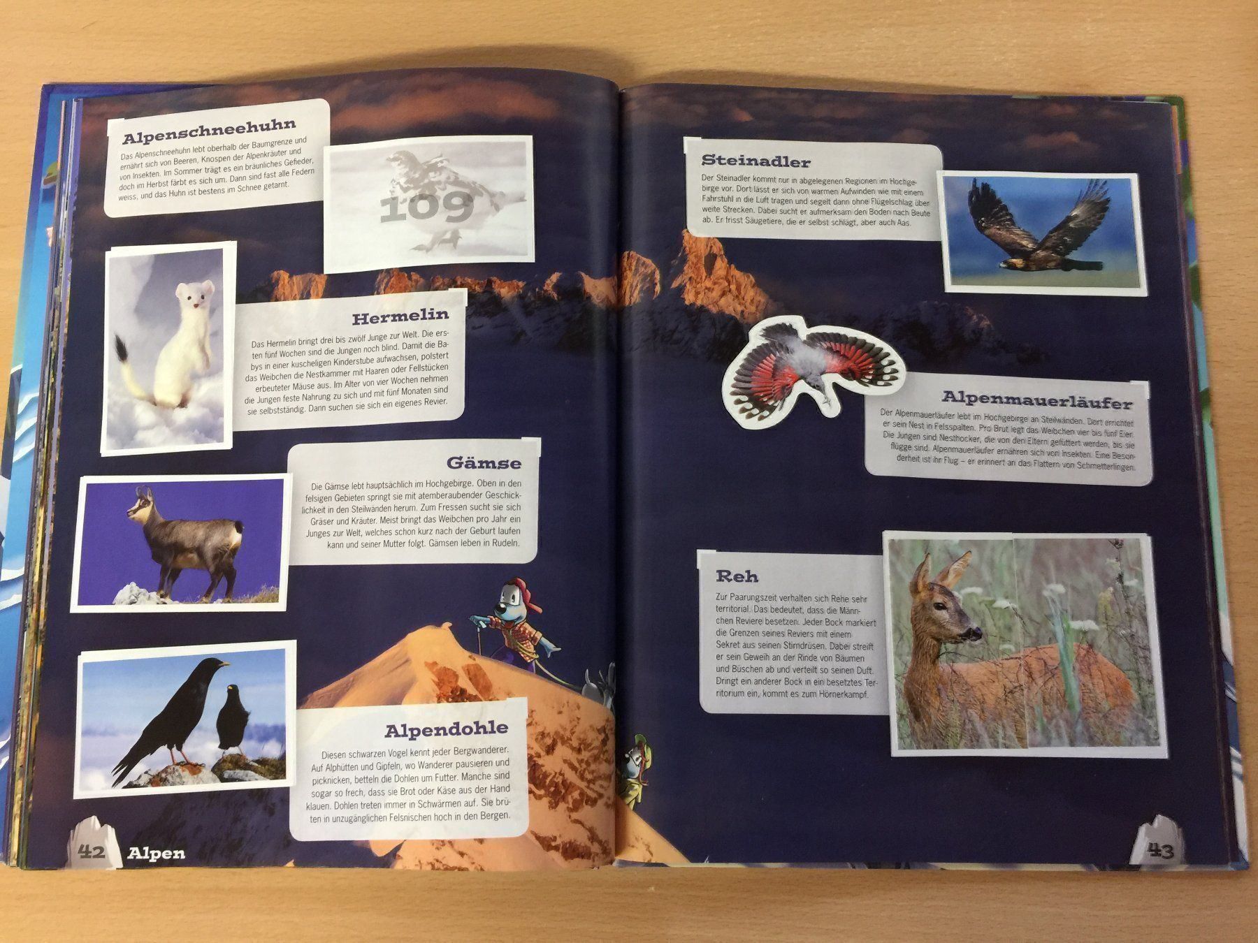 Libri: Mountainmania Abenteuer Bergwelt WWF – Usato da Glattfelden venduto da cybermaxx 6