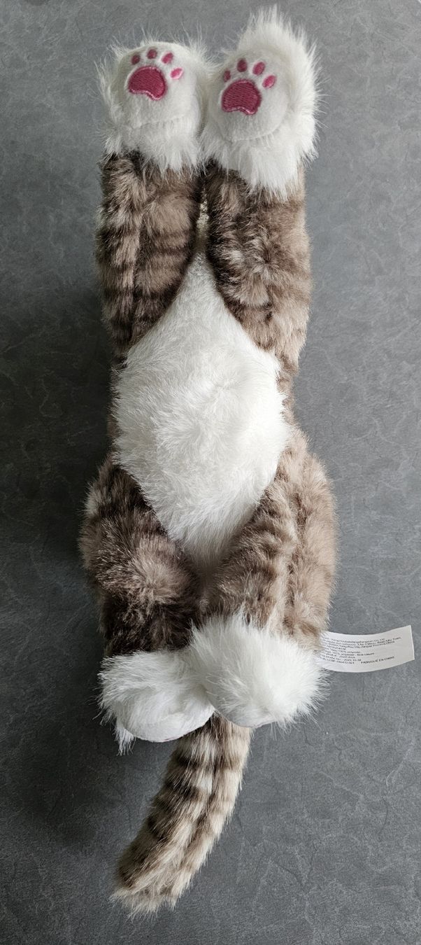 Giocattoli: Plüschkatze, neu – Nuovo (secondo la descrizione) da Grosshöchstetten venduto da Chaotik-Reptil 3