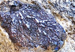 Mineral - Rarität aus dem Binntal. Rutil Pseudomorphose 3cm