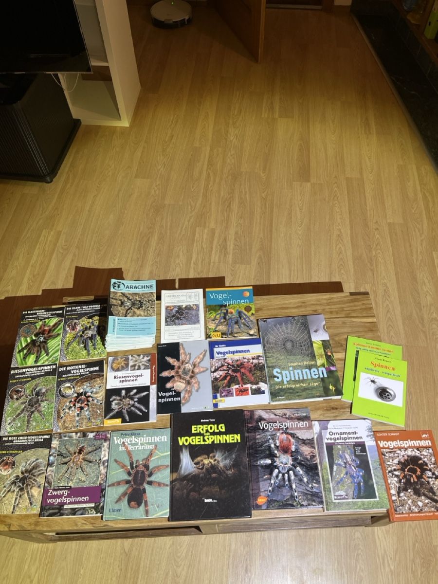 Libri: Vogelspinne – Usato da Siebnen venduto da Sweetrevenge