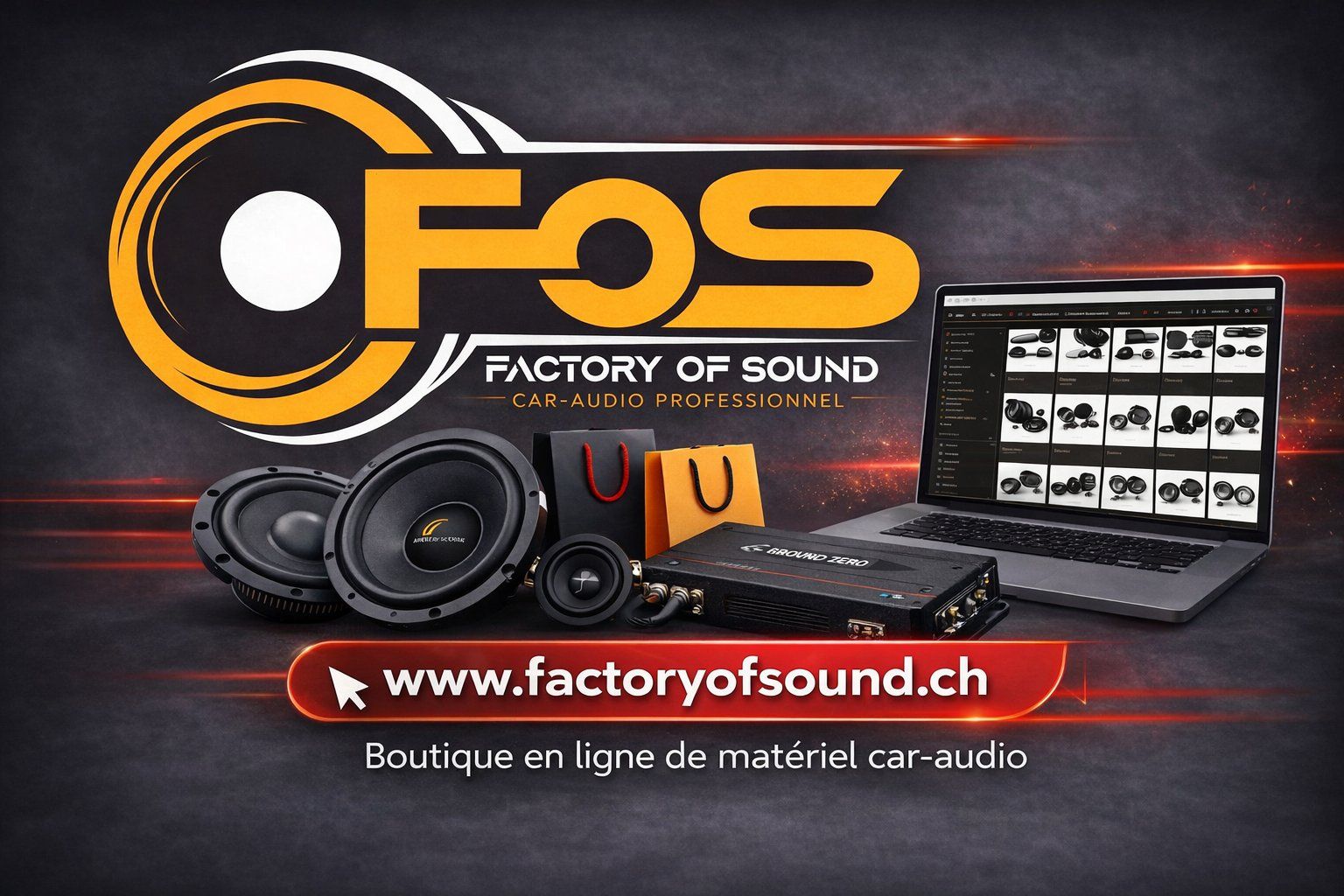 Lautsprecher: Awave AW650 - 165mm - 4 ohms - 80 Wrms – Neu und originalverpackt aus Corcelles-près-Payerne von FactoryofSound 1