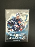 Sportzoo playoff Denis Malgin ZSC stars of the season 