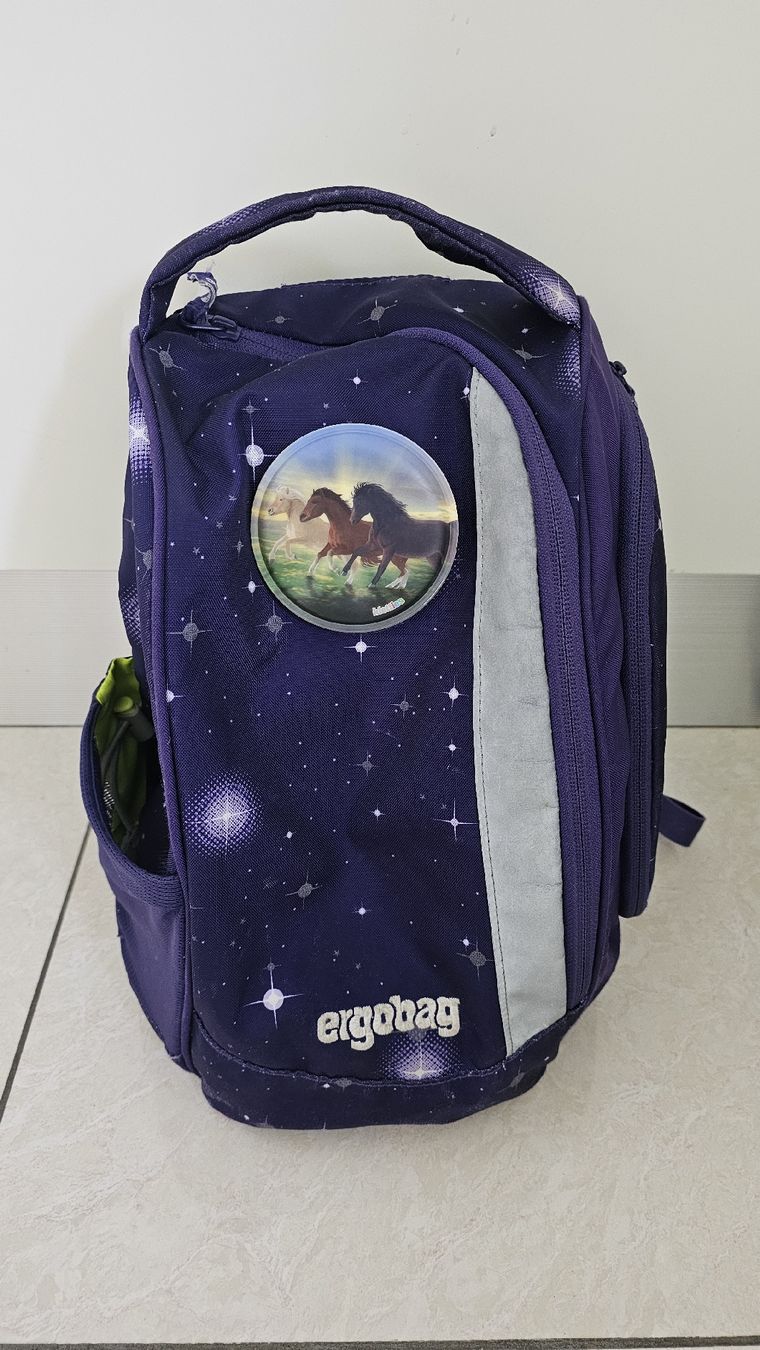 Borse & Zaini: Ergobag Schulsack – Usato da Niederbipp venduto da Schwage 1