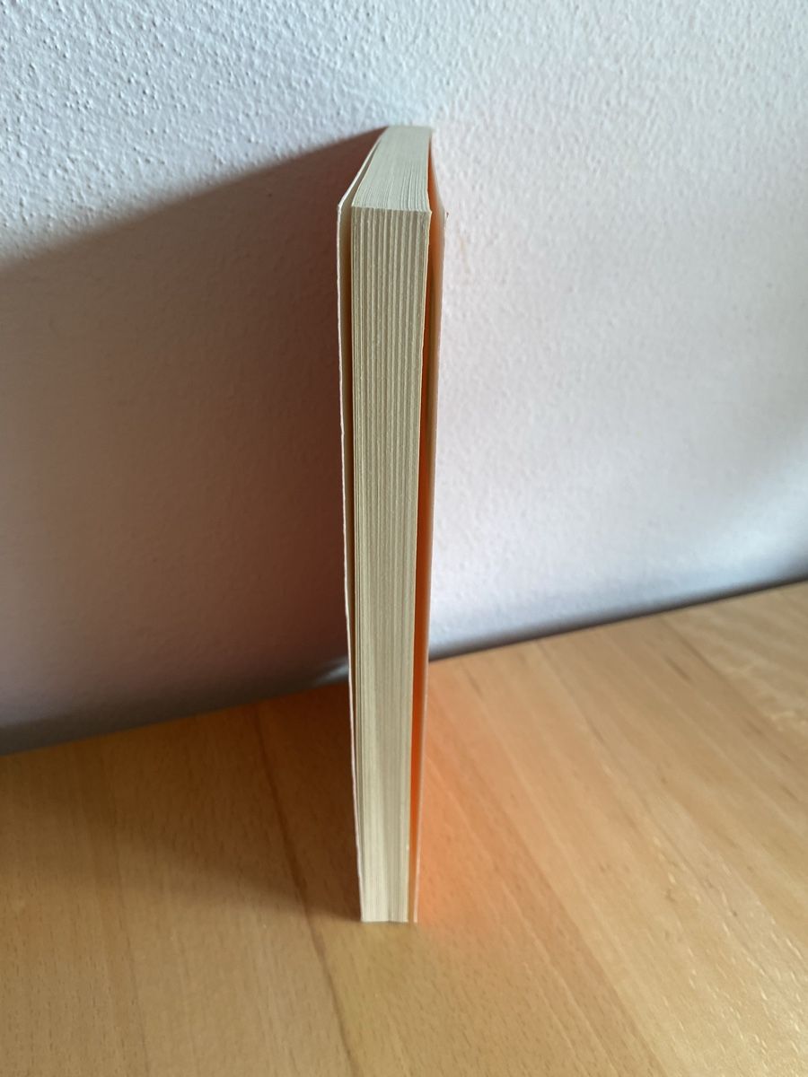 Bücher: Änet em Zuun - Fritz Widmer  – Gebraucht aus Schwarzenburg von Michellu 3