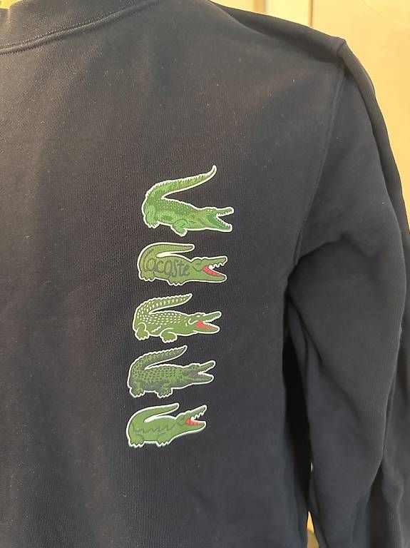 Maglioni & Felpe: Lacoste Dunkelblau – Usato da Wallisellen venduto da noelzul 1