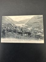 auf der Oberalp
